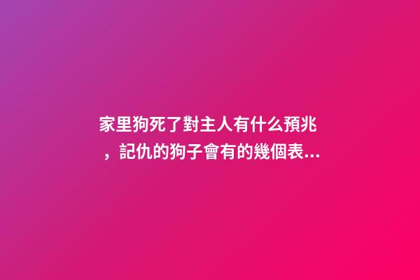 家里狗死了對主人有什么預兆，記仇的狗子會有的幾個表現(xiàn)-第1張-觀點-玄機派